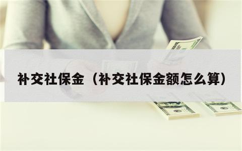 补交社保金（补交社保金额怎么算）
