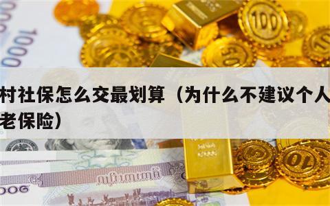 农村社保怎么交最划算（为什么不建议个人交养老保险）