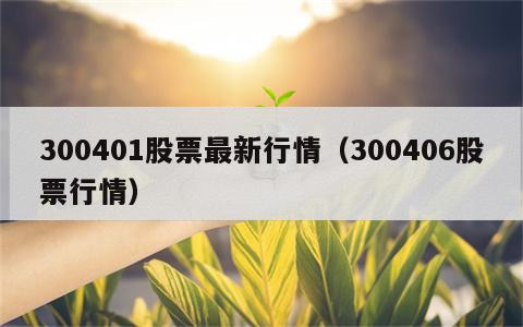 300401股票最新行情（300406股票行情）