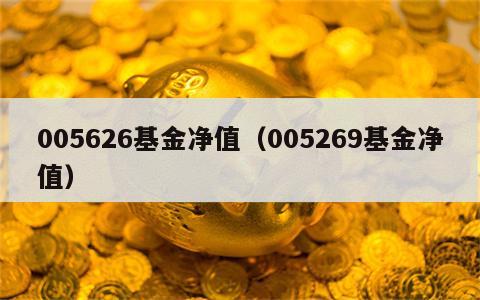 005626基金净值（005269基金净值）