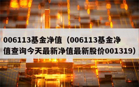 006113基金净值（006113基金净值查询今天最新净值最新股价001319）