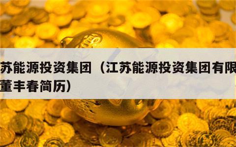江苏能源投资集团（江苏能源投资集团有限公司董丰春简历）
