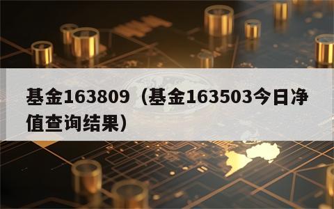 基金163809（基金163503今日净值查询结果）