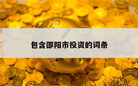 包含邵阳市投资的词条