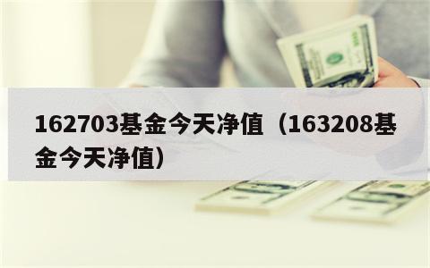 162703基金今天净值（163208基金今天净值）