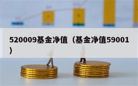 520009基金净值（基金净值59001）