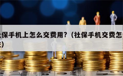 社保手机上怎么交费用?（社保手机交费怎么交）