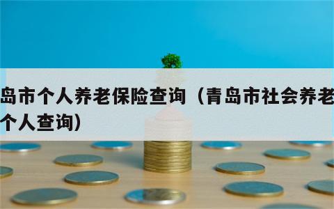 青岛市个人养老保险查询（青岛市社会养老保险个人查询）