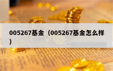 005267基金（005267基金怎么样）