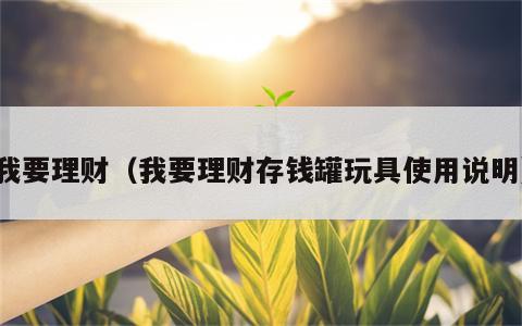 我要理财（我要理财存钱罐玩具使用说明）