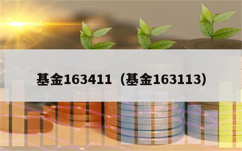 基金163411（基金163113）