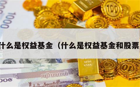 什么是权益基金（什么是权益基金和股票）