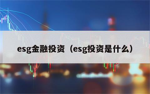 esg金融投资（esg投资是什么）