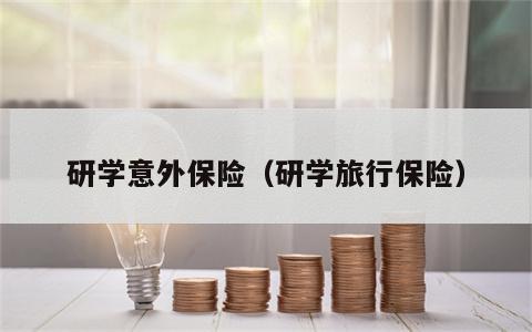 研学意外保险（研学旅行保险）