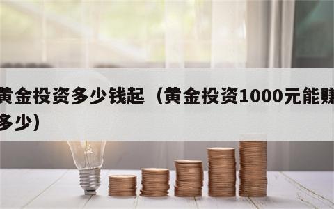 黄金投资多少钱起（黄金投资1000元能赚多少）