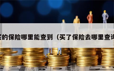 买的保险哪里能查到（买了保险去哪里查询）