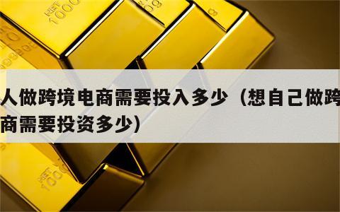 个人做跨境电商需要投入多少（想自己做跨境电商需要投资多少）