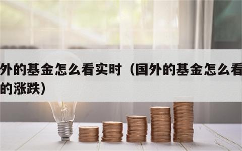 国外的基金怎么看实时（国外的基金怎么看当天的涨跌）