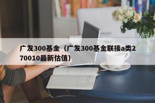 广发300基金（广发300基金联接a类270010最新估值）