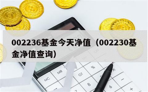 002236基金今天净值（002230基金净值查询）