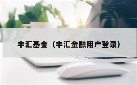 丰汇基金（丰汇金融用户登录）