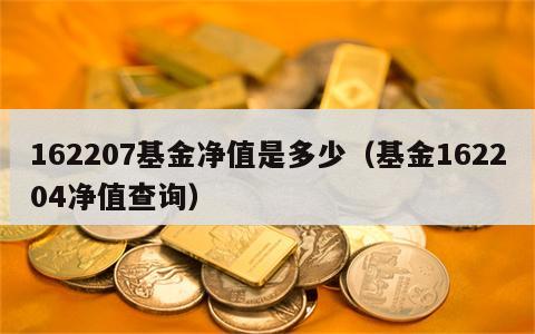 162207基金净值是多少（基金162204净值查询）