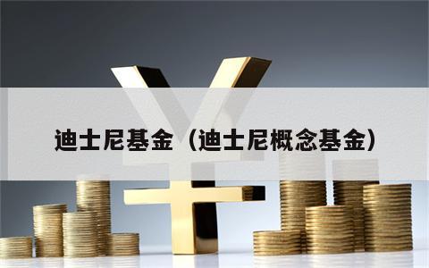 迪士尼基金（迪士尼概念基金）