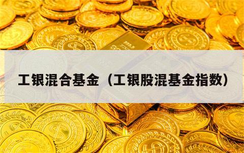 工银混合基金（工银股混基金指数）