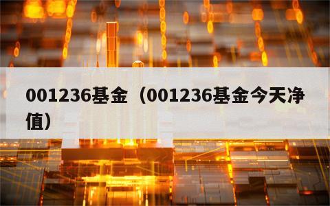 001236基金（001236基金今天净值）