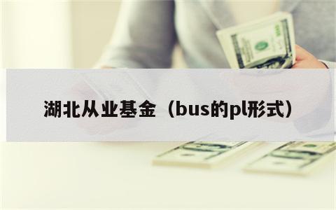 湖北从业基金（bus的pl形式）