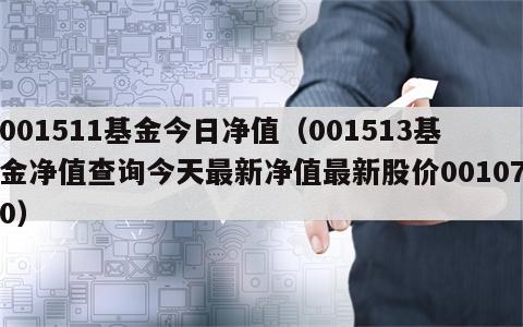001511基金今日净值（001513基金净值查询今天最新净值最新股价001070）