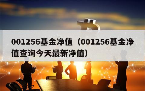 001256基金净值（001256基金净值查询今天最新净值）