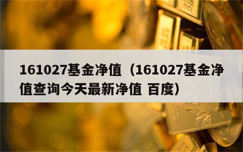 161027基金净值（161027基金净值查询今天最新净值 百度）