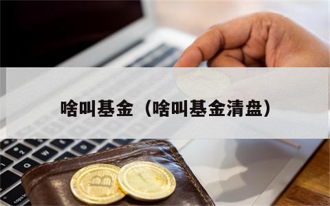 啥叫基金（啥叫基金清盘）