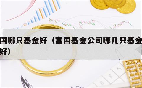 富国哪只基金好（富国基金公司哪几只基金收益好）