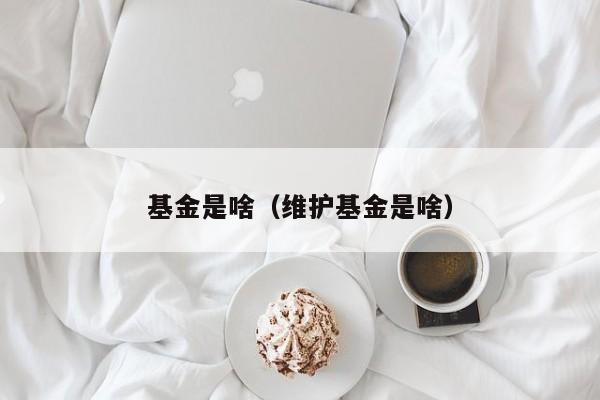 基金是啥（维护基金是啥）