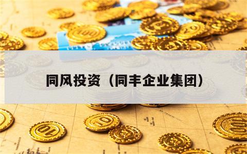 同风投资（同丰企业集团）