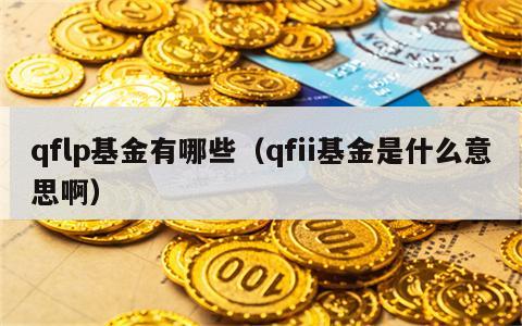 qflp基金有哪些（qfii基金是什么意思啊）