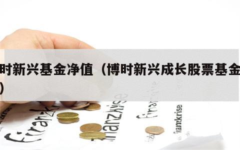 博时新兴基金净值（博时新兴成长股票基金净值）