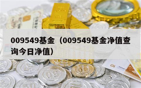 009549基金（009549基金净值查询今日净值）