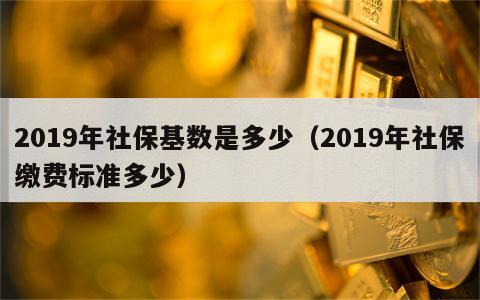 2019年社保基数是多少（2019年社保缴费标准多少）