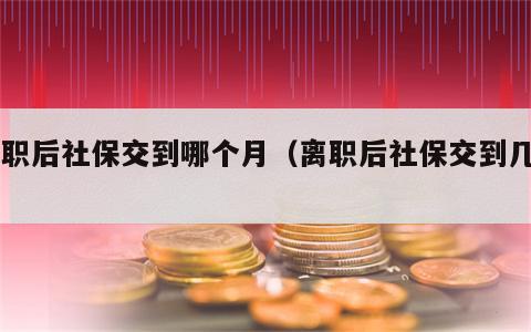 离职后社保交到哪个月（离职后社保交到几月）