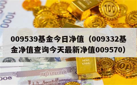 009539基金今日净值（009332基金净值查询今天最新净值009570）