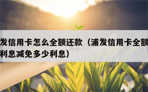 浦发信用卡怎么全额还款（浦发信用卡全额还款利息减免多少利息）
