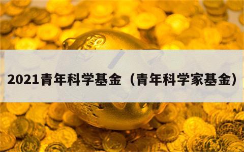2021青年科学基金（青年科学家基金）