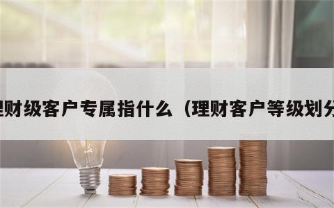 理财级客户专属指什么（理财客户等级划分）
