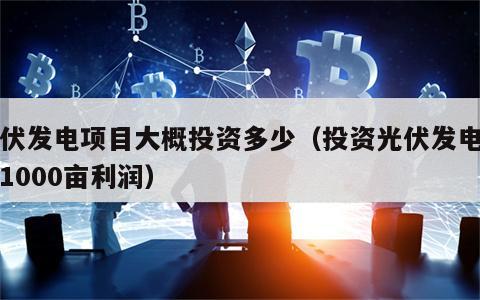 光伏发电项目大概投资多少（投资光伏发电项目1000亩利润）