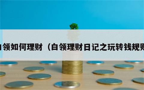 白领如何理财（白领理财日记之玩转钱规则）