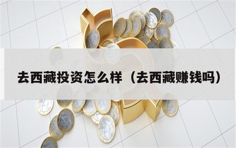 去西藏投资怎么样（去西藏赚钱吗）
