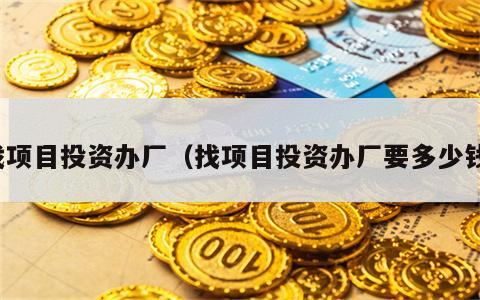 找项目投资办厂（找项目投资办厂要多少钱）